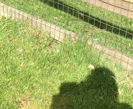 IMG 0214