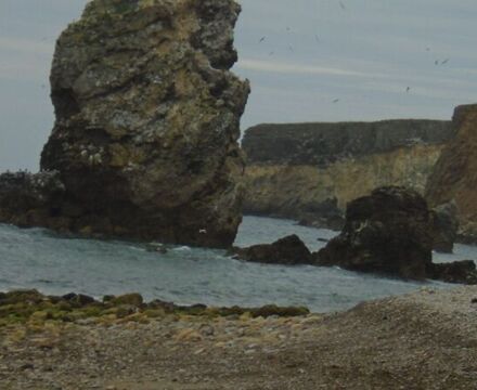 DSC01214