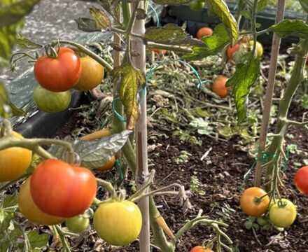 Thumbnail IMG 6954 Andrea Spowart