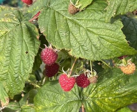 Thumbnail IMG 6953 Andrea Spowart