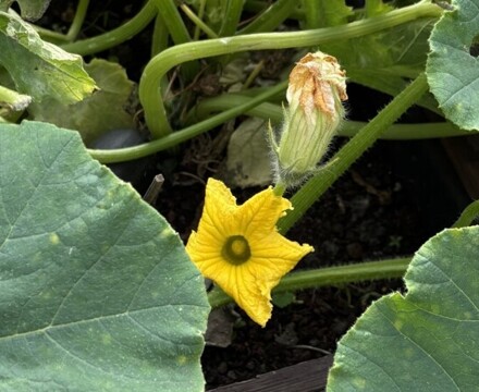 Thumbnail IMG 6951   Copy Andrea Spowart