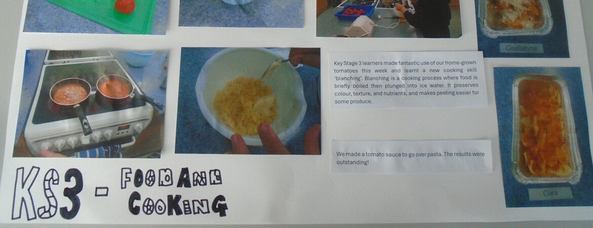 Blog Header Image