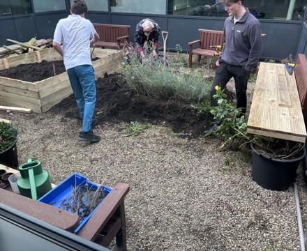 Garden 4 Andrea Spowart