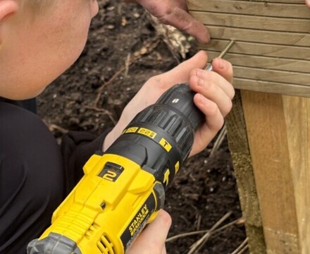 Garden 6 Andrea Spowart