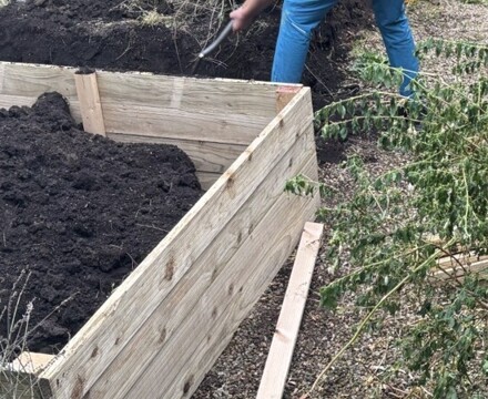 Garden 2 Andrea Spowart