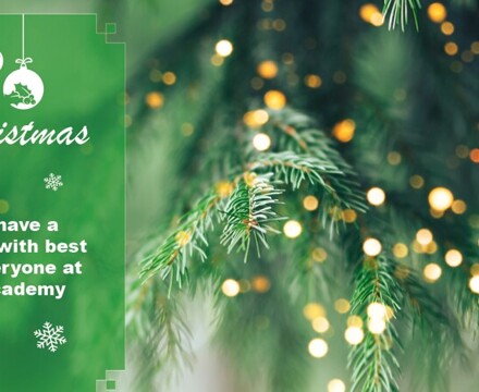 Christmas Posts 20255