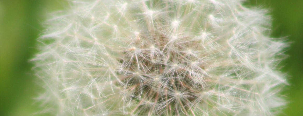 Blog Header Image