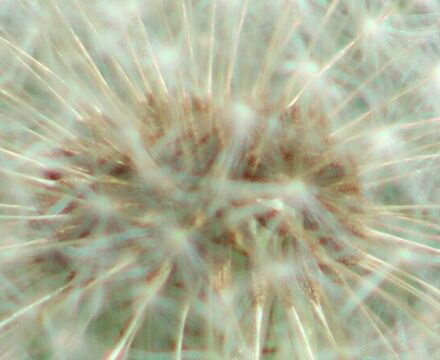 IMG 3040 cropped